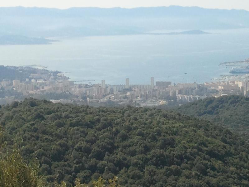 Appartamento A Petricaghja Alata Esterno foto